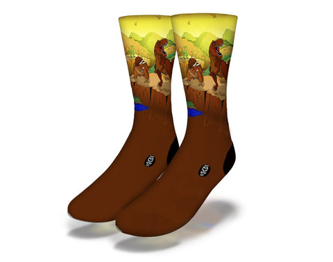 SAVVY SOX DINOSAUR BROS SOCKS